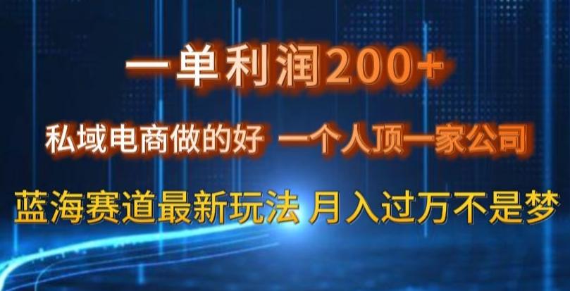 一单利润200私域电商做的好,一个人顶一家公司蓝海赛道最新玩法【揭秘】-青禾学社
