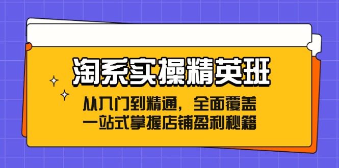 淘系实操精英班:从入门到精通,全面覆盖,一站式掌握店铺盈利秘籍-青禾学社