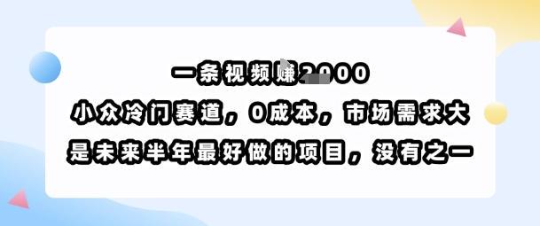 一条视频挣1k，小众冷门赛道，0成本，市场需求大，是未来半年最好做的项目，没有之一-青禾学社