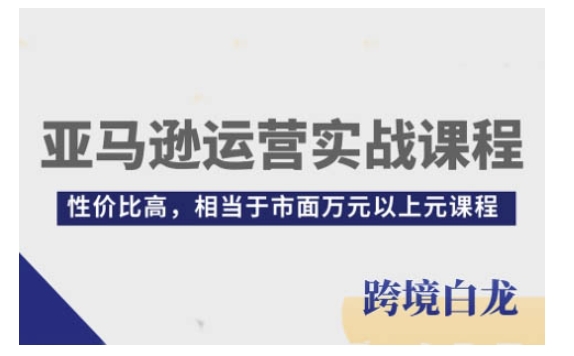 亚马逊运营实战课程,亚马逊从入门到精通,性价比高,相当于市面万元以上元课程-青禾学社