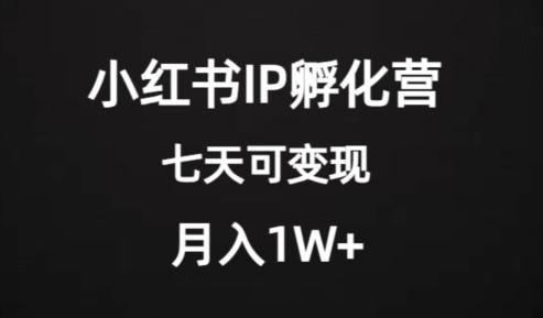 价值2000+的小红书IP孵化营项目,超级大蓝海,七天即可开始变现,稳定月入1W+-青禾学社