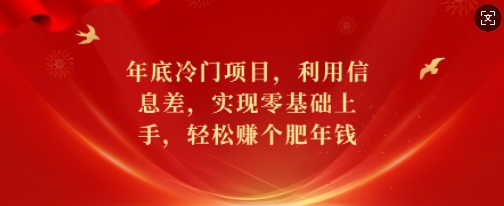 年底冷门项目，利用信息差，实现零基础上手，轻松赚个肥年钱【揭秘】-青禾学社