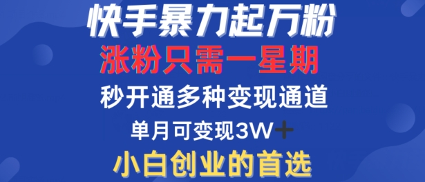 快手暴力起万粉，涨粉只需一星期，多种变现模式，直接秒开万合，单月变现过W【揭秘】-青禾学社