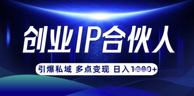 云帆·创业ip合伙人打造3.0,从0到1教你做网创,实现月入过W-青禾学社