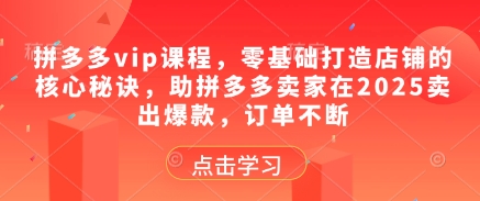 拼多多vip课程，零基础打造店铺的核心秘诀，助拼多多卖家在2025卖出爆款，订单不断-青禾学社