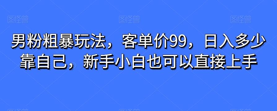 男粉粗暴玩法,客单价99,日入多少靠自己,新手小白也可以直接上手-青禾学社