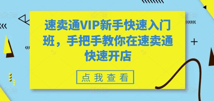速卖通VIP新手快速入门班,手把手教你在速卖通快速开店-青禾学社