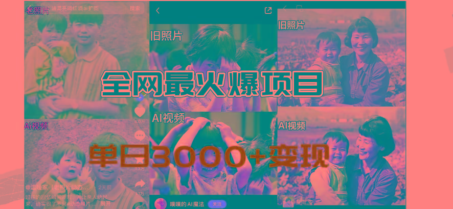 全网爆火的AI让老照片动起来教程,蹭热点日赚3000+,内含免费工具一键…-青禾学社