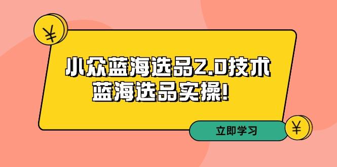 拼多多培训第33期：小众蓝海选品2.0技术-蓝海选品实操！-青禾学社