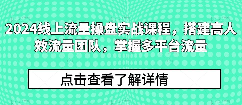 2024线上流量操盘实战课程,搭建高人效流量团队,掌握多平台流量-青禾学社