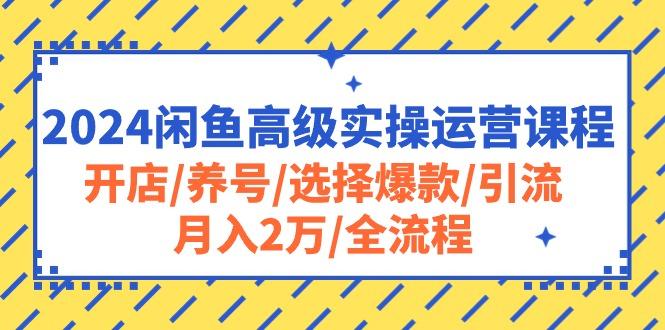 2024闲鱼高级实操运营课程：开店/养号/选择爆款/引流/月入2万/全流程-青禾学社