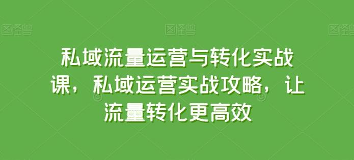 私域流量运营与转化实战课,私域运营实战攻略,让流量转化更高效-青禾学社