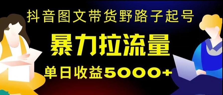 抖音图文带货暴力起号,单日收益5000+,野路子玩法,简单易上手,一部手机即可【揭秘】-青禾学社