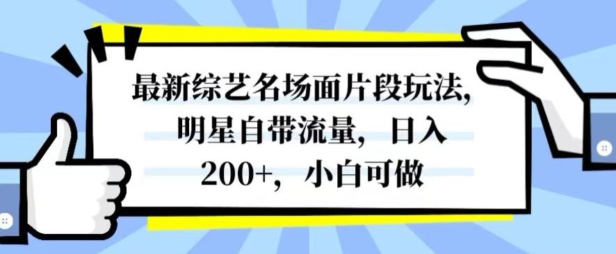 最新综艺名场面片段玩法,明星自带流量,日入200+,小白可做【揭秘】-青禾学社