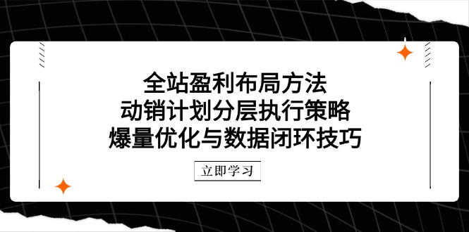全站盈利布局方法：动销计划分层执行策略，爆量优化与数据闭环技巧-青禾学社