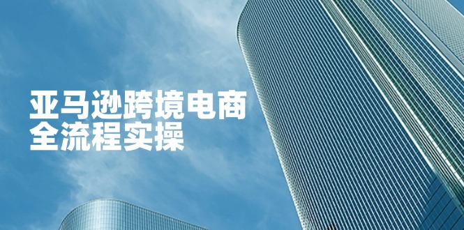 亚马逊跨境电商全流程实操,教你从零开始,掌握店铺运营与广告技巧-青禾学社