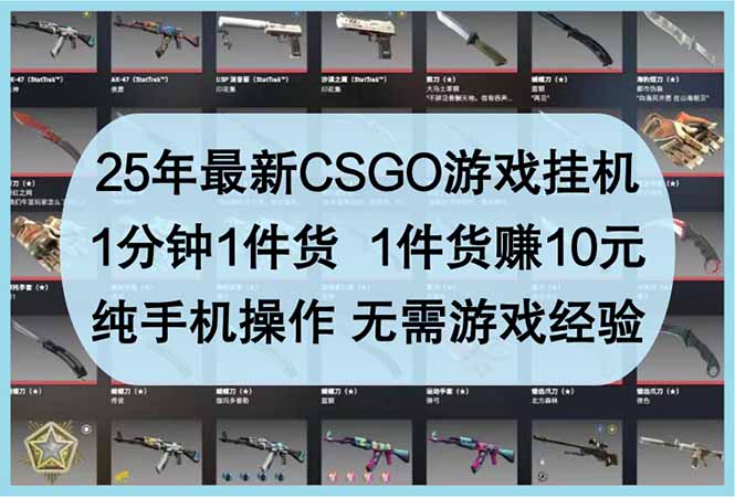 25年最新CSGO游戏挂机，1分钟1件货，1件货赚10元 纯手机操作 无需游戏经验-青禾学社