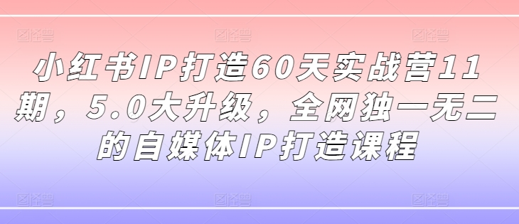 小红书IP打造60天实战营11期,5.0大升级,全网独一无二的自媒体IP打造课程-青禾学社