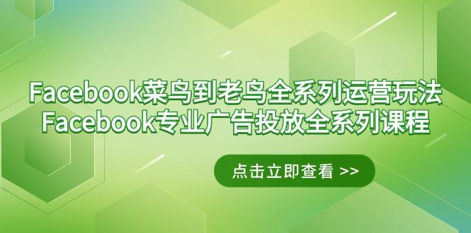 Facebook-菜鸟到老鸟全系列运营玩法+Facebook-专业广告投放全系列课程-青禾学社