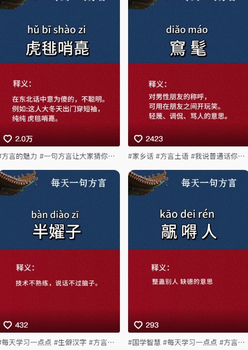 抖音最新涨粉玩法,图文方言暴力涨粉实操,126作品涨粉11W-青禾学社