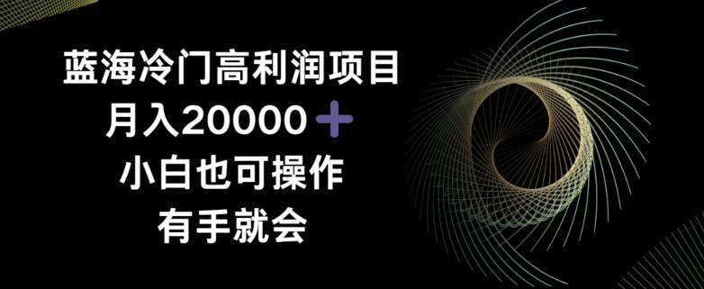 蓝海冷门高利润项目月入2000，小白也可操作有手就会-青禾学社