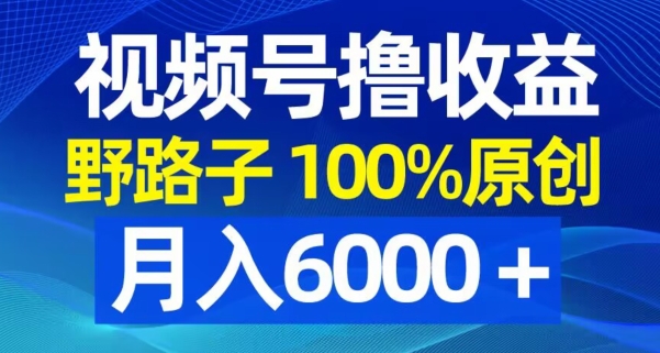 视频号野路子撸收益，100%原创，条条爆款，月入6000＋【揭秘】-青禾学社