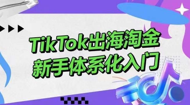 TikTok出海淘金,新手体系化入门,零基础快速入门,掌握短视频、直播带货等引流到变现的知识-青禾学社