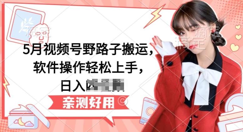 5月视频号野路子搬运,软件操作轻松上手,日入三位数【揭秘】-青禾学社