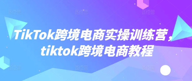 TikTok跨境电商实操训练营,tiktok跨境电商教程-青禾学社