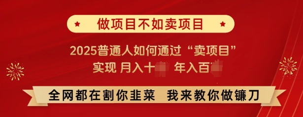 必看,做项目不如卖项目,2025普通人如何通过“卖项目”实现月入十个,年入百个-青禾学社