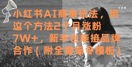 小红书AI商单玩法,用这个方法2个月涨粉7W+,新手也能接品牌合作(附全套指令模板)-青禾学社
