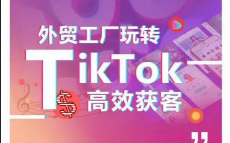 外贸工厂玩转TikTok高效获客，多种引流方式与账号定位技巧，拆解爆款短视频打造成功案例-青禾学社