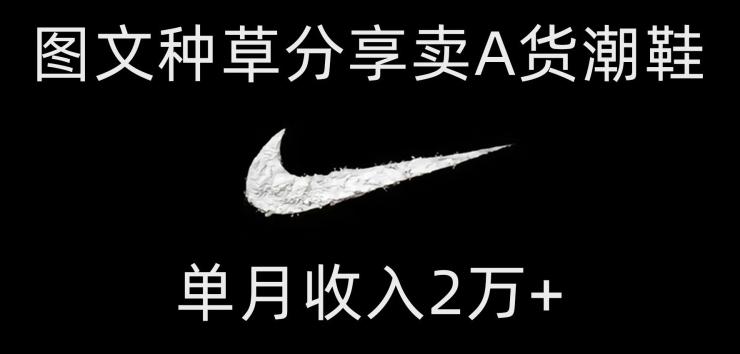 靠图文种草分享卖A货潮鞋，每天一小时，单月收入2万+【揭秘】-青禾学社