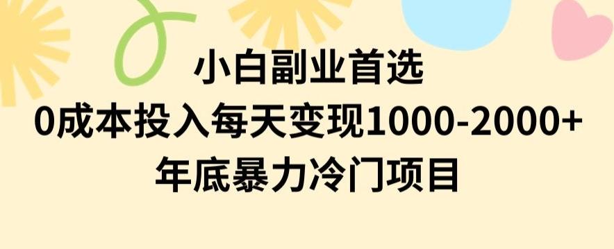 小白副业首选，0成本投入，每天变现1000-2000年底暴力冷门项目【揭秘】-青禾学社