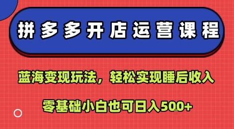 拼多多开店运营课程:蓝海变现玩法,轻松实现睡后收入,零基础小白也可日入5张-青禾学社