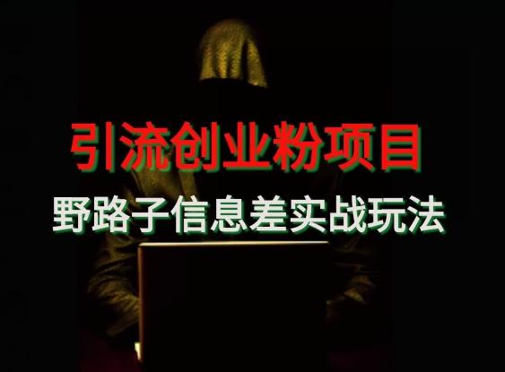 【引流创业粉】野路子信息差玩法实战教学-青禾学社