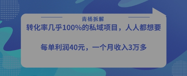 转化率最高的私域项目，每单利润40-50米，月入过1w-青禾学社