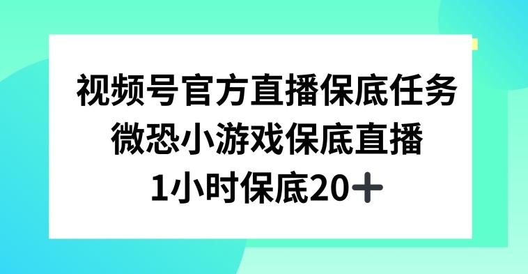 视频号直播任务，微恐小游戏，1小时20+【揭秘】-青禾学社