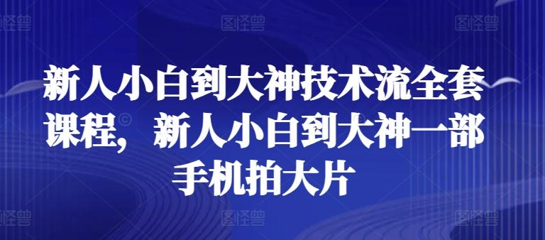 新人小白到大神技术流全套课程，新人小白到大神一部手机拍大片-青禾学社