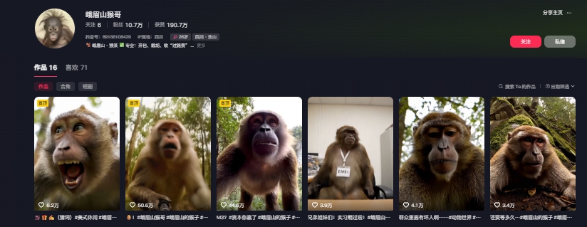 最新爆火的峨眉山猴子短视频制作教程,条条点赞10w+,谁做谁火【教程+提示词】-青禾学社