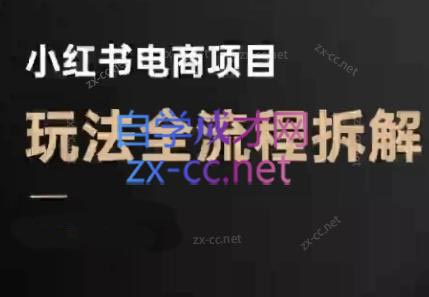 菲菲老师·小红书电商玩法(更新9月)-青禾学社