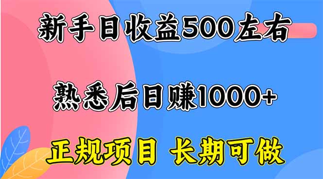 新手日收益500+ 正规项目 长期可做-青禾学社