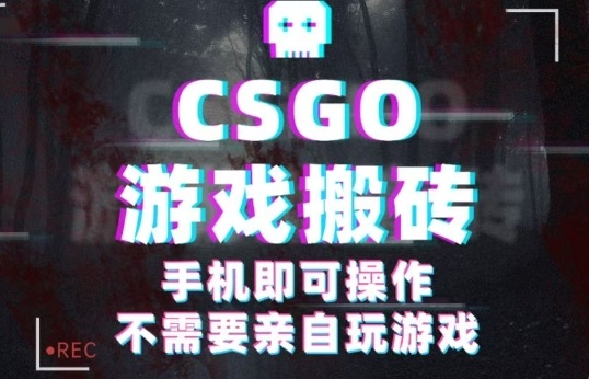 CSGO游戏挂G捡漏,单日扫货5张+,年底小高峰上车可吃肉,手机即可操作,兼职副业创业网创【揭秘】-青禾学社