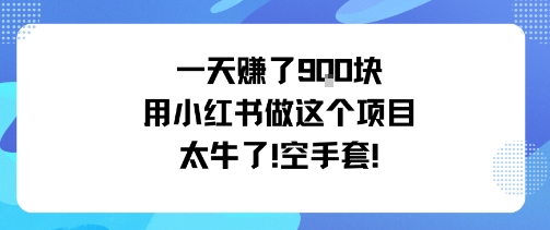 一天挣了9张用小红书做这个项目太牛了，空手套-青禾学社