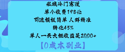 私域冷门赛道:单个收费198米引流模板简单人群精准转化45%单人一天大概收益是1k+-青禾学社
