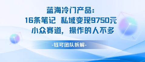 蓝海项目:16条笔记私域变现9750米小众赛道操作的人不多-青禾学社