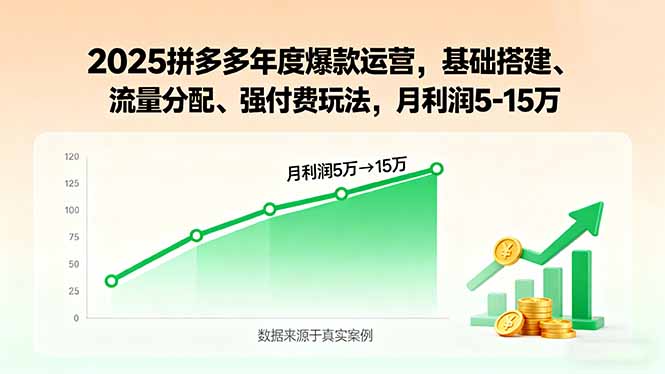 2025拼多多年度爆款运营,基础搭建、流量分配、强付费玩法,月利润5-15万-青禾学社