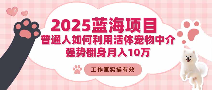 2025蓝海项目:普通人如何利用活体宠物中介,强势翻身月入10万-青禾学社