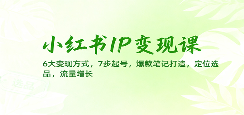 小红书IP变现课：6大变现方式，7步起号，爆款笔记打造，定位选品，流量增长-青禾学社