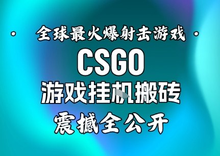 【年底大揭秘】基于全球最火爆的射击CSGO游戏挂G搬砖,日入5张+,震撼公开-青禾学社